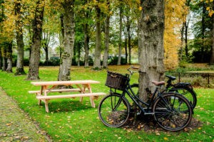 Landelijke Douglas picknicktafel